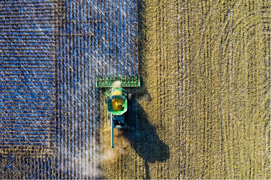 From Cattle to Crops: A Farmers Guide to Insurance 